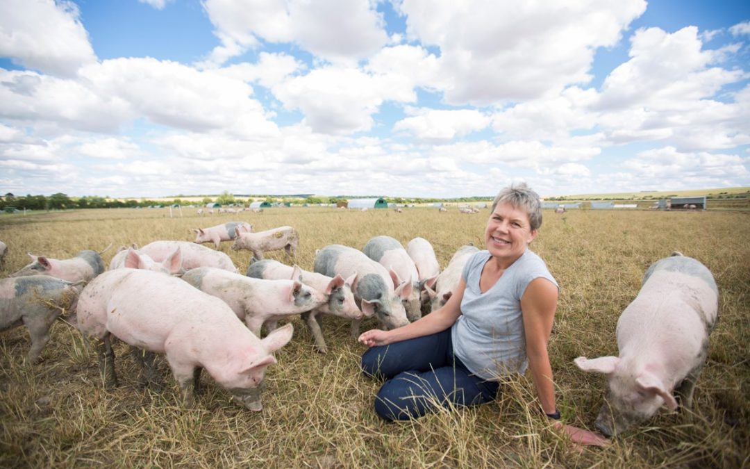 Thank you Helen Browning’s Organics